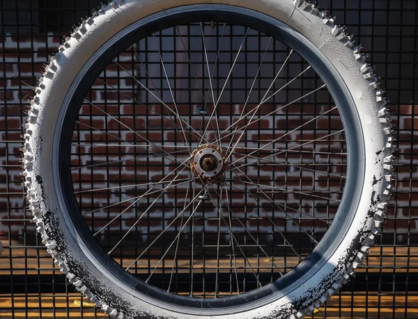 A sports wheel from a bicycle hangs on a wall of metal bars