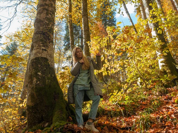 Ένα κορίτσι στέκεται σε ένα δάσος κοντά σε ένα μεγάλο δέντρο με βρύα σε φόντο φθινοπωρινών δέντρων και γαλάζιου ουρανού — Φωτογραφία Αρχείου