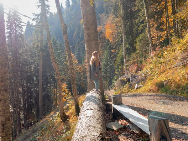 Uma menina está em uma árvore caída enorme em uma montanha na floresta de outono — Fotografia de Stock