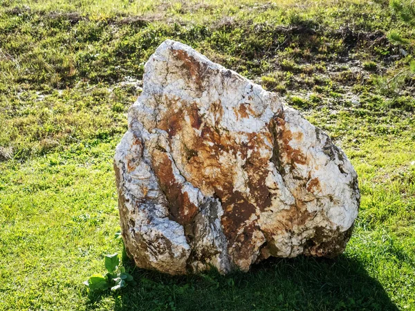Огромный пятнистый камень лежит на газоне с зеленой травой — стоковое фото