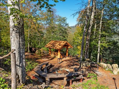 Picnic place with a wooden gazebo, tables and benches made of wood among the trees of the forest and mountains