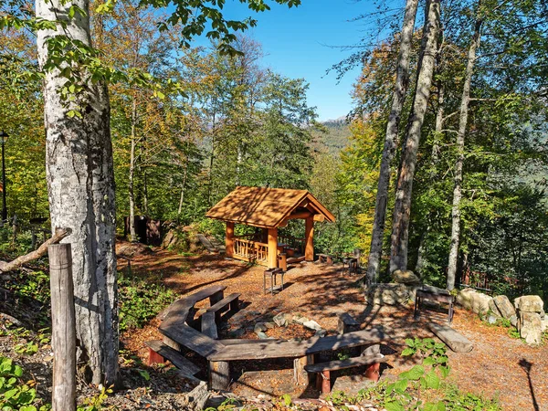 Picnic place with a wooden gazebo, tables and benches made of wood among the trees of the forest and mountains — Stockfoto