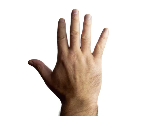 Чоловіча жорстока волохата рука, що показує п'ять на ізольованому фоні — стокове фото