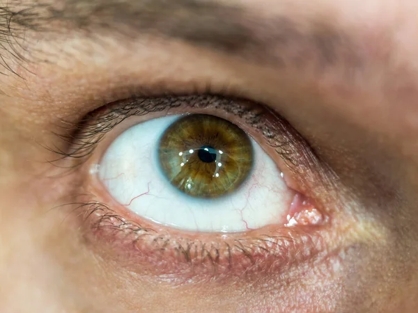 Kahverengi gözünün tam ortasına odaklanmış yakın plan fotoğraf. Gözbebekleri yukarı bakıyor.