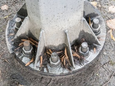 Demir sütunun altı büyük fıstıklarla dolu.