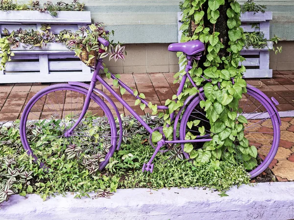 En cykel målad i lila står på gröna blad nära ett idisslat träd — Stockfoto