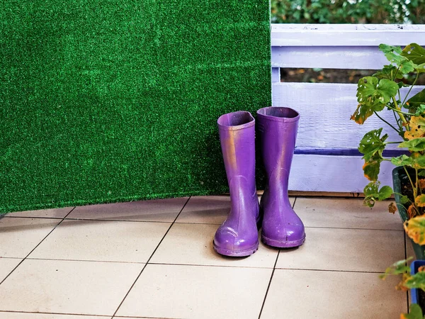 Twee paarse wellingtons staan op de groene deur op straat. — Stockfoto
