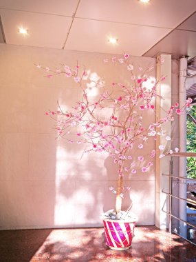 Dallarında pembe çiçekler olan bir tencerede güzel bir yapay ağaç.