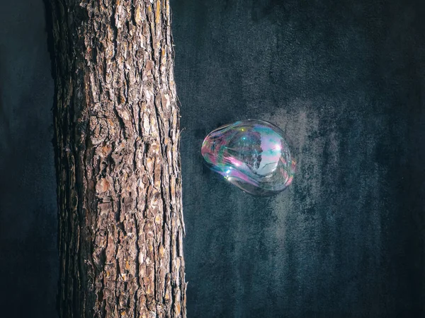 Bolla di sapone sullo sfondo di un muro e di un albero — Foto Stock