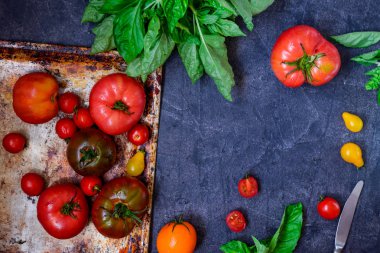 Top view colorful tomatoes, red tomatoes, yellow tomatoes, orange tomatoes with water drops on the dark concrete background. Space for text, selective focus clipart