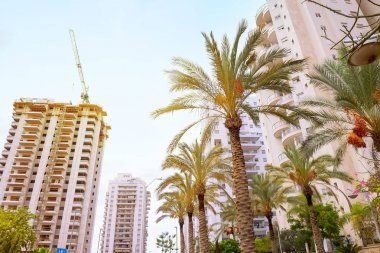 Doğu inşaat alanında. Endüstriyel Vinçler bitmemiş yüksek yüksek binalar hazır için yerleşim daireler ve tarihi avuç içi ile çevrili. Modern İnşaat Mühendisliği.
