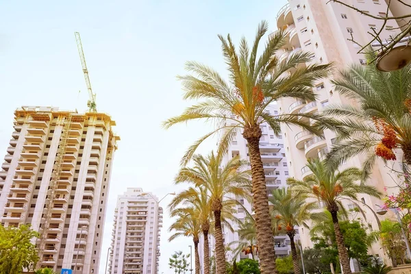 Doğu inşaat alanında. Endüstriyel Vinçler bitmemiş yüksek yüksek binalar hazır için yerleşim daireler ve tarihi avuç içi ile çevrili. Modern İnşaat Mühendisliği.