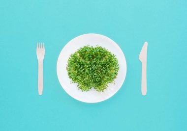 Üstten Görünüm tabak taze organik Filiz mikro yeşillikleri ile parlak turkuaz mavi arka plan üzerinde ahşap çatal bıçak takımı ile devam eder. Sağlıklı ham diyet gıda kavramı. Metin için yer kopyalayın. Seçici odak.