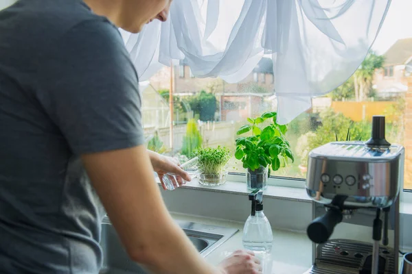 Close Young Man Watering Home Gardening Kitchen Windowsill Pots Herbs — Stock Photo, Image