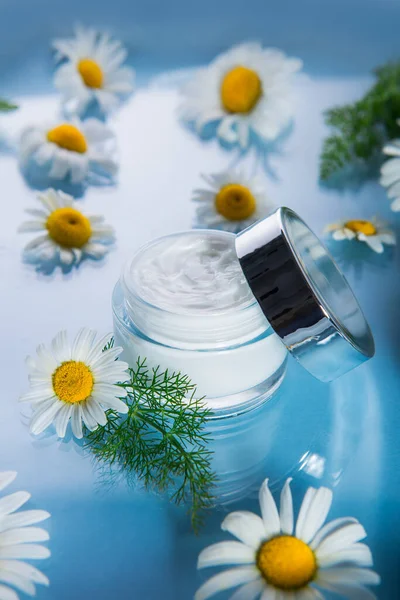 Crema cosmética herbal en recipiente abierto con flores frescas de manzanilla sobre un fondo de vidrio azul claro. Hidratante orgánico natural y producto de belleza para el cuidado de la ciencia limpiadora. Tarjeta vertical. De cerca. . — Foto de Stock