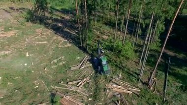 Orman kesme. Drone ile ateş. Ahşap hasat. Orman kesme bir hasat yardımıyla. Yangın önleyici donatım yardımı ile orman kesme. 