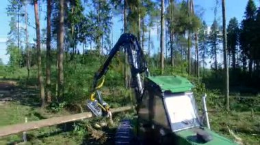 Orman kesme. Drone ile ateş. Ahşap hasat. Orman kesme bir hasat yardımıyla. Yangın önleyici donatım yardımı ile orman kesme.