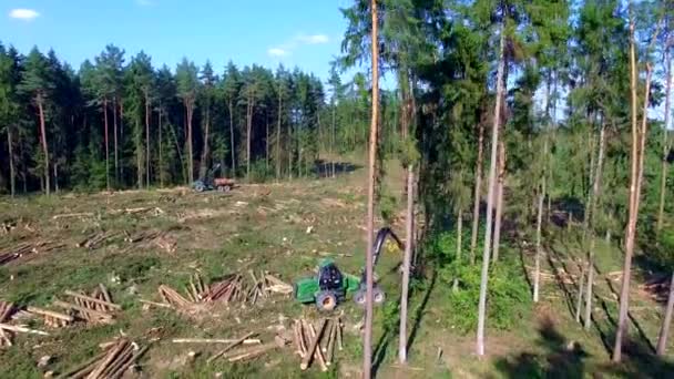 Corte de bosque. Tiro con el drone. Cosechadora de madera. Corte de bosque con la ayuda de una máquina segador. Corte de bosque con la ayuda de equipo especial. resolución de 4 k. — Vídeos de Stock