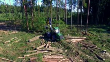 Orman kesme. Drone ile ateş. Ahşap hasat. Orman kesme bir hasat yardımıyla. Yangın önleyici donatım yardımı ile orman kesme. 4 k çözünürlük. 