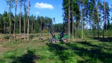 Orman kesme. Drone ile ateş. Ahşap hasat. Orman kesme bir hasat yardımıyla. Yangın önleyici donatım yardımı ile orman kesme. 4 k çözünürlük. 