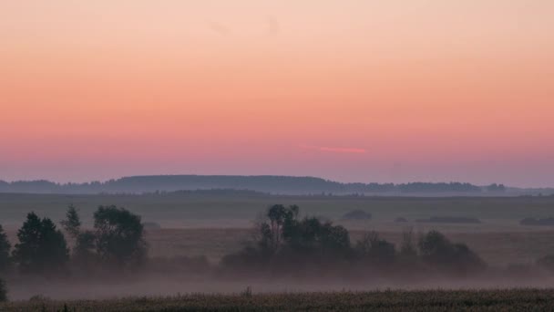 タイムラプス。4 k の解像度。フィールドの美しい日の出です。フィールドの霧. — ストック動画