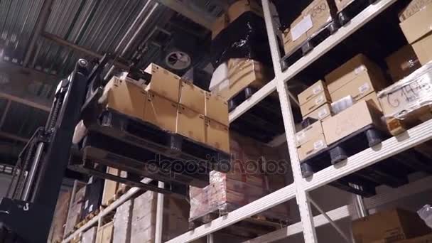 A targonca a raktárban. Egy targonca felveti egy doboz felé a felső polcon. Raktári anyagok. A raktári polcok. — Stock videók