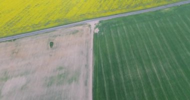 Flying over the field and roads, aerial view. Drone shot. 4k footage.