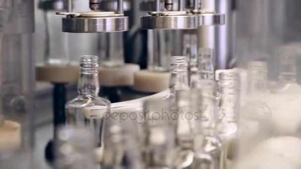 Spill of alcohol in glass bottles at the plant. Conveyor belt with glass bottles. Shop the spillage of alcoholic beverages. Conveyor close-up. The production process of alcoholic beverages. 4K res. — Stok Video