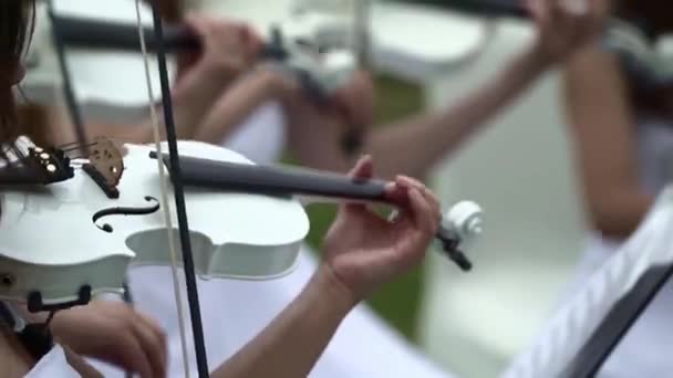 Girl in white dress plays on white violin. Violin close-up. — Stock Video