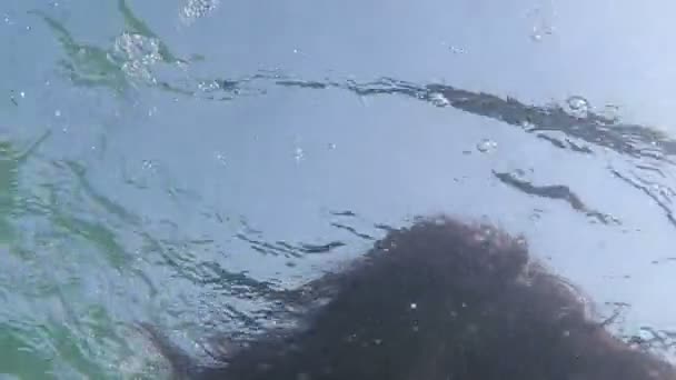 Beautiful Woman Swimming Underwater — Stock Video