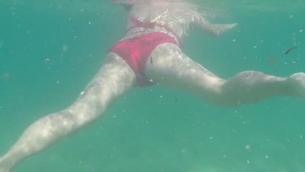 Woman Swimming Underwater Legs — Stock Video