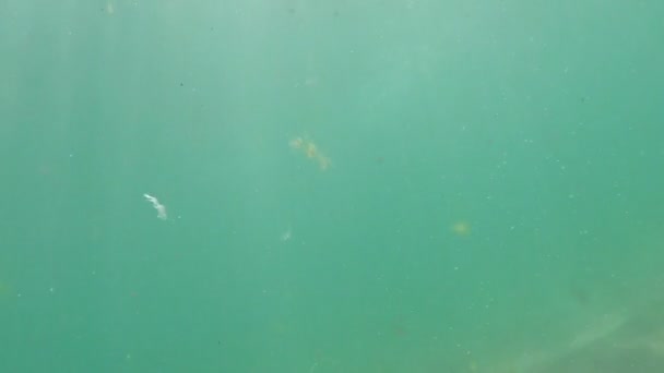 Rayons de soleil creux sous l'eau 