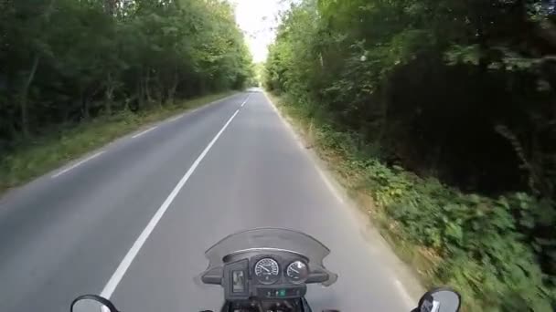 Riding by the Woods on Motorcycle Travel Adventure — Stock Video