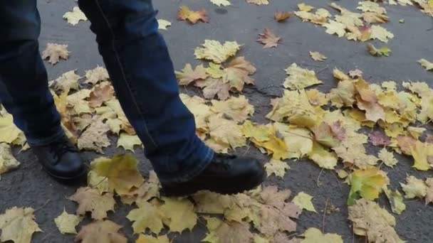 Kvinnan promenader genom hösten marken med gula blad — Stockvideo