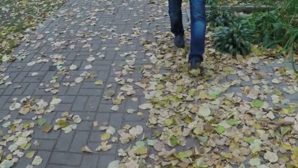 Прогулка по желтым листьям — стоковое видео