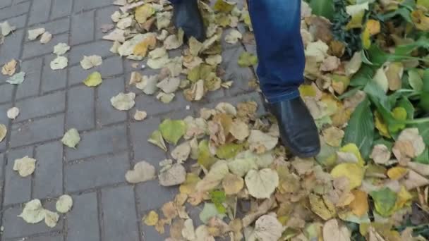 Caminhada de outono humor pelo chão folhas amarelas — Vídeo de Stock
