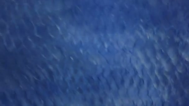 Mouvement bleu Contexte Réseautage 