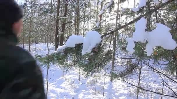 Людина прогулянки засніжений ліс — стокове відео