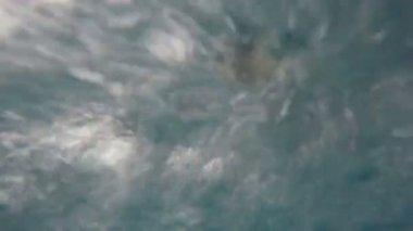 Su sualtı arka plan Bubbles