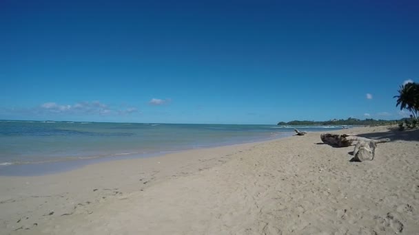 Dzikie Karaiby Tropical Beach Dominikana — Wideo stockowe