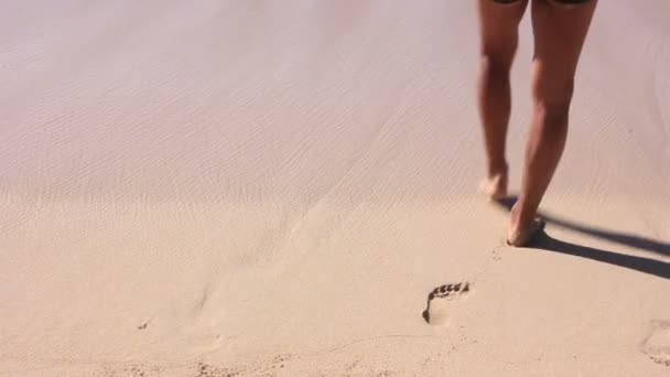 Piernas masculinas caminando hacia el agua en la playa — Vídeos de Stock