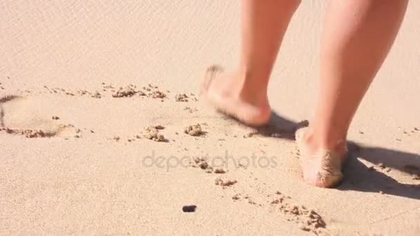 Sexy piernas femeninas caminando sobre el agua a la playa — Vídeo de stock