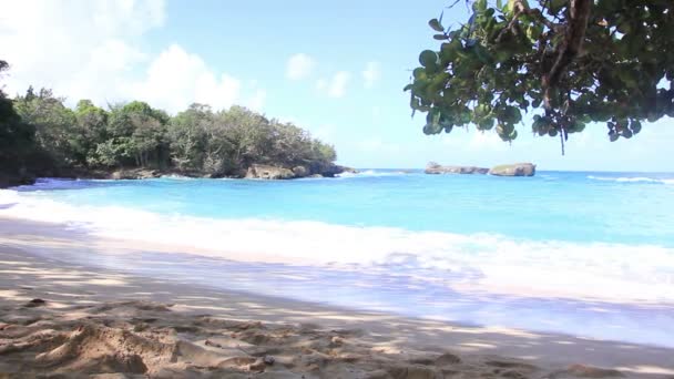 Bella spiaggia caraibica Panorama — Video Stock