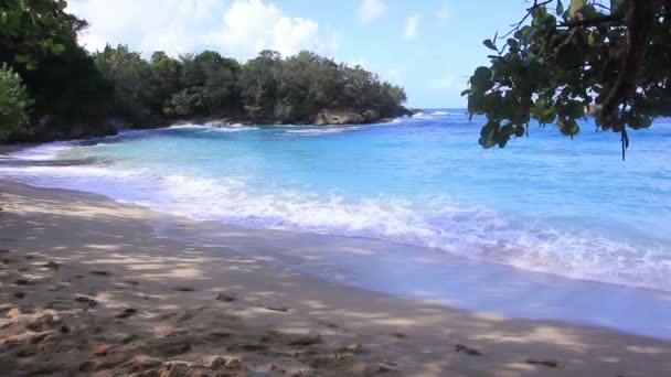 Piękna karaibska plaża panorama — Wideo stockowe