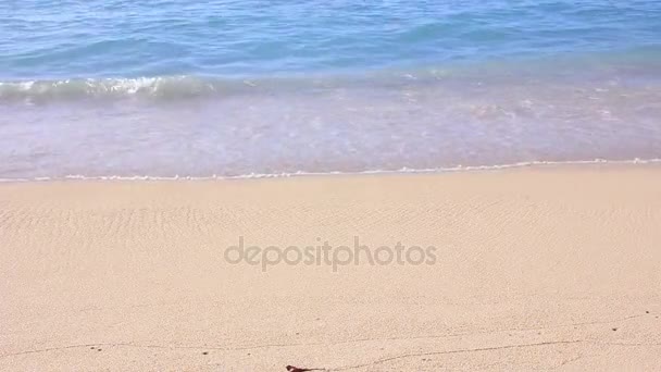 Pieds féminins sexy marchant vers l'eau sur la plage — Video