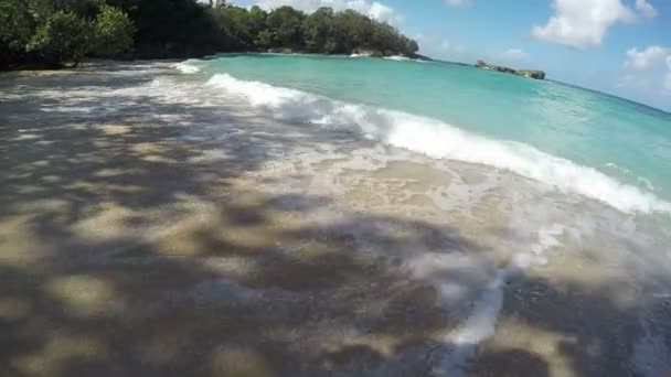 Waves on the Tropical Beach — Stock Video