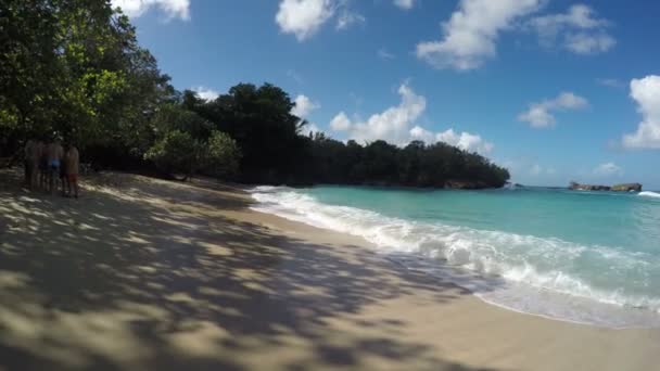 Beautiful Tropical Beach Background — Stock Video