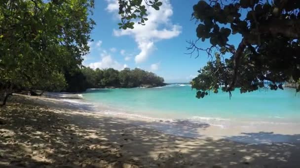 Bela praia tropical fundo — Vídeo de Stock