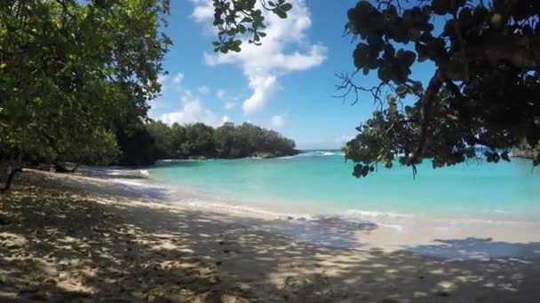 Beau fond de plage tropical 