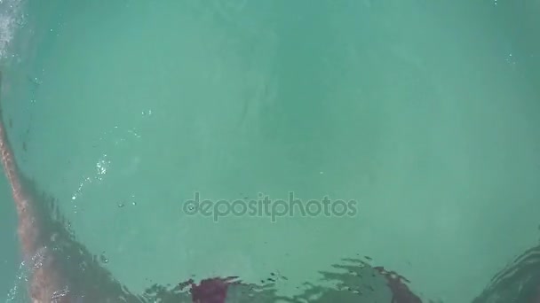 Женщина плавает в воде с Гопро — стоковое видео